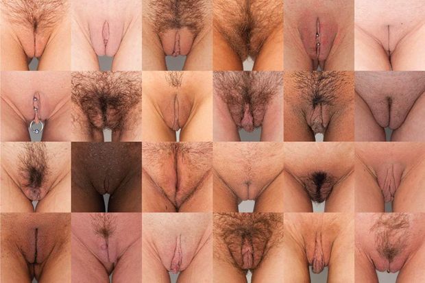 Many Labia In Many Sizes Marscybergon 