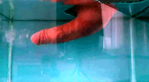 Cock. 