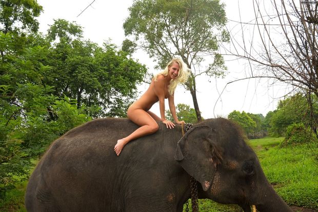 Blonde riding nude on an elephant