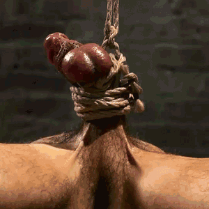 Gay male ball bondage
