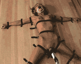 Nj Bdsm