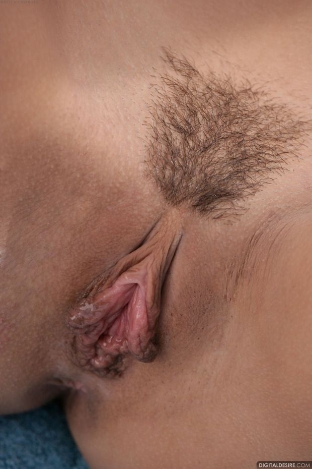 Wet lips and pubic hair triangle