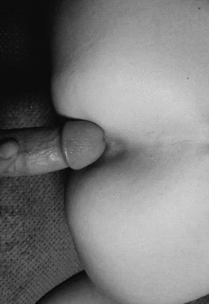 Slow anal gif
