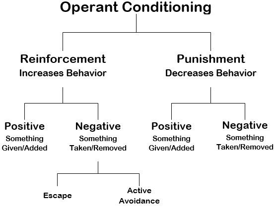 Bdsm conditioning chart