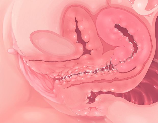 Anatomy Steveh1978