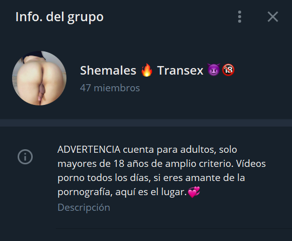 grupo telegram