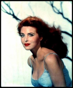 Tina louise nide