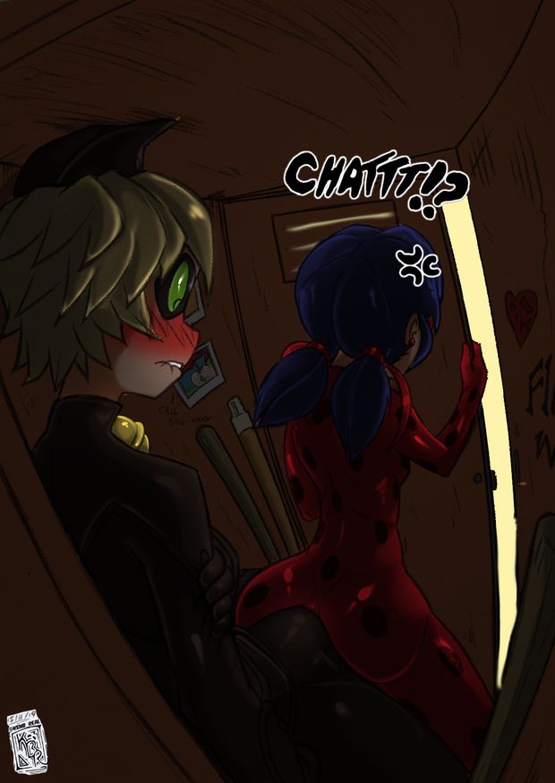 miraculous ladybug sin