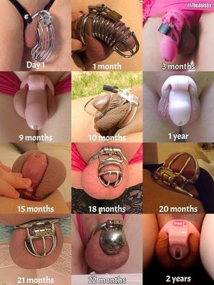 Chastity-cage Pics image picture