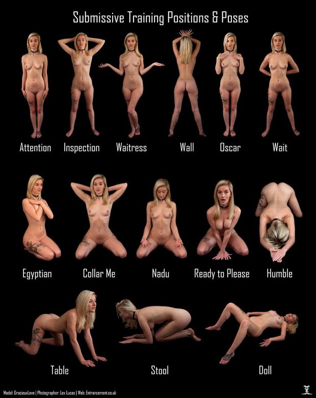 Submissive Training Positions & Poses