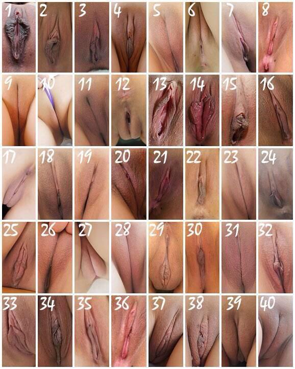 Which One Is Your Favorite Pussy Kyblue333