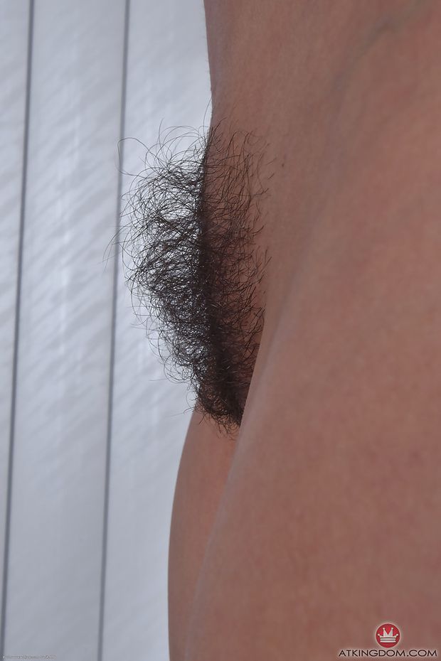 hairy pubis