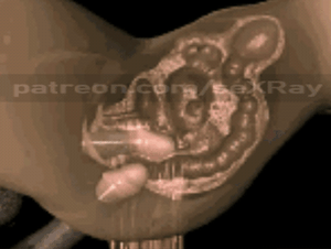 Gify - Gaping ! Anal ! Cum