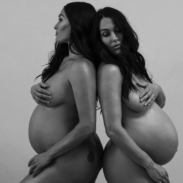 Bella twins nude pregnant 2