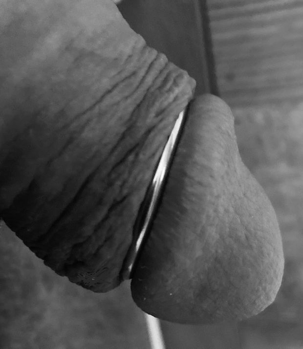 Steel Glans Ring Sexrepository69