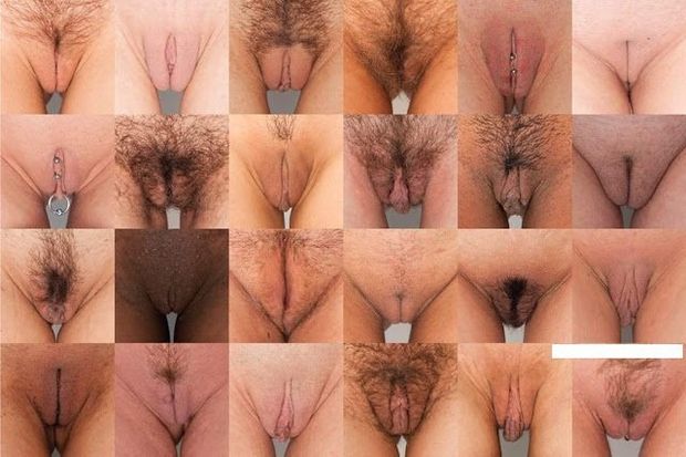 which one is your favorite pussy