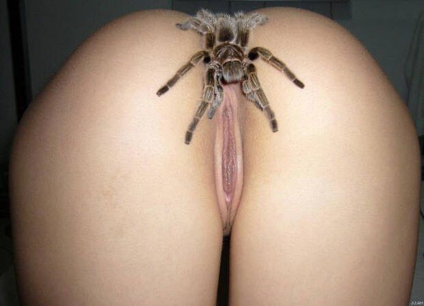 She loves spiders