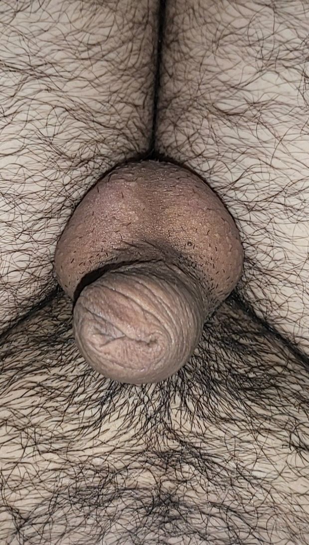 Small uncut penis