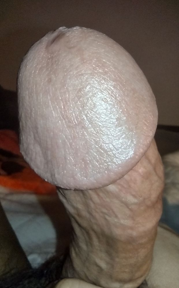 My fat mushroom dick head perfect for pussy