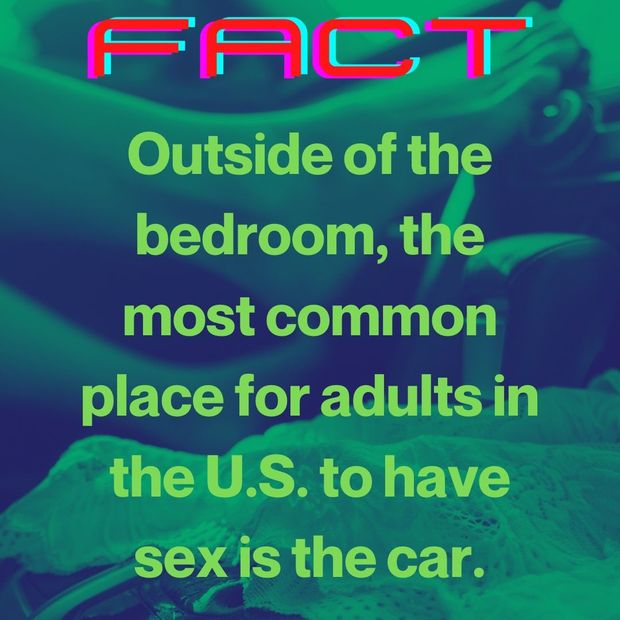 sex in car