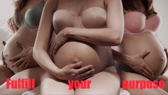 Ideally, my Sluts will all be bred simultaneously so they can enjoy being pregnant together. -HK