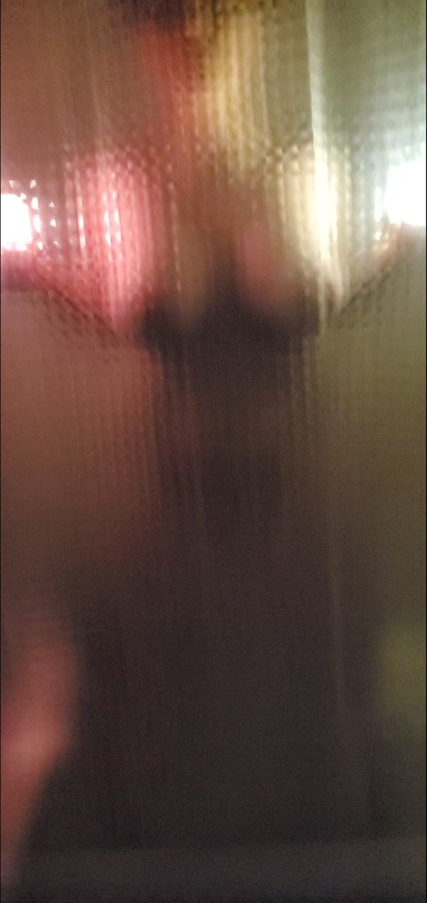 see thru shower curtain 1