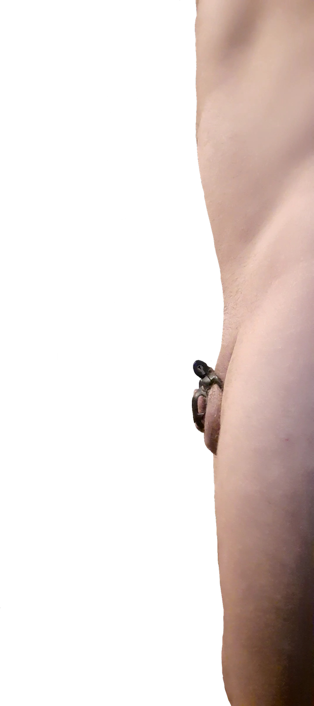 Tiny sissy clitty in chastity