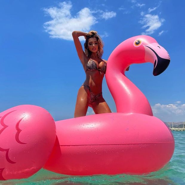 flamingo