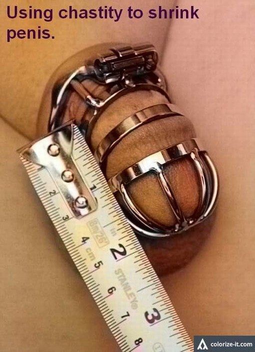 using chastity to shrink penis